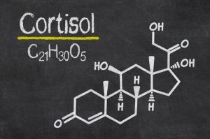 Kortisol – kroppens stresshormon