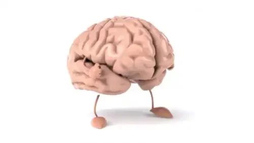 Hjärna med ben