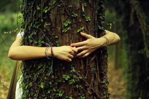 Kvinna som kramar träd