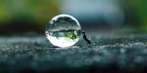 Uthållighet är drömmarnas livsmedel