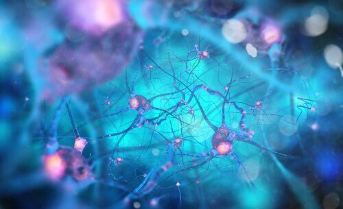 Neuroner i blått och rosa