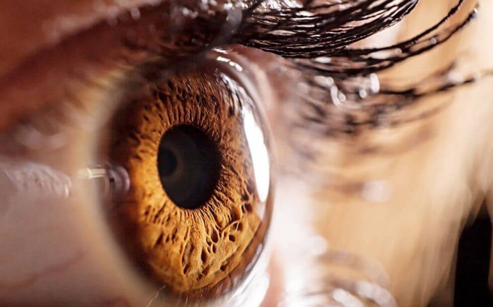 Ögon och pupiller avslöjar attraktion