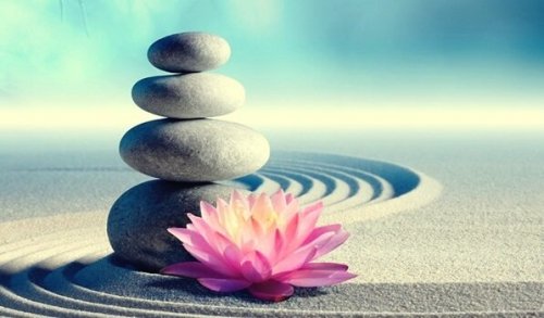 Budord från zen som kommer förändra ditt liv