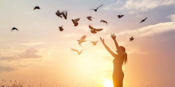 Kvinna bland fåglar