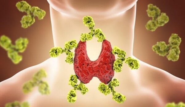 Människans sköldkörtel