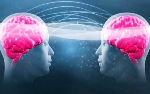 Tryptofan och serotonin: ditt välmående beror på dem