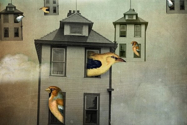 Fåglar i hus