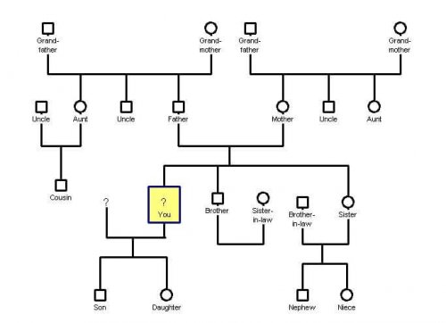 Göra ett genogram