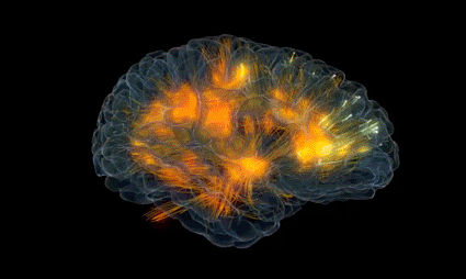 Hjärna med synapser i olika färger.