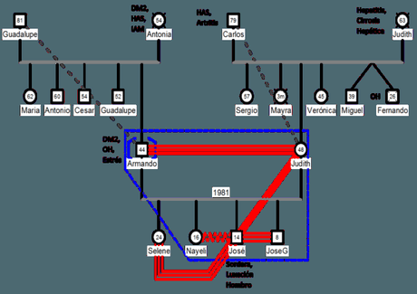 Information till genogram