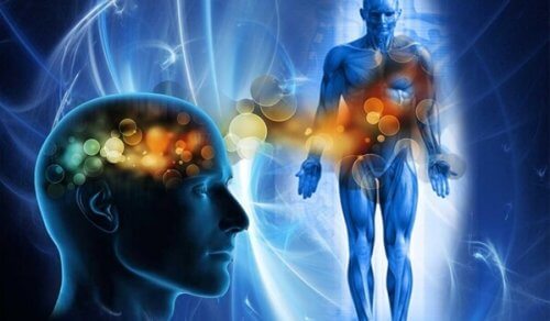 Den mänskliga kroppen