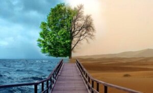 Gestaltterapi mot depression: 4 nycklar till ett lyckligare liv