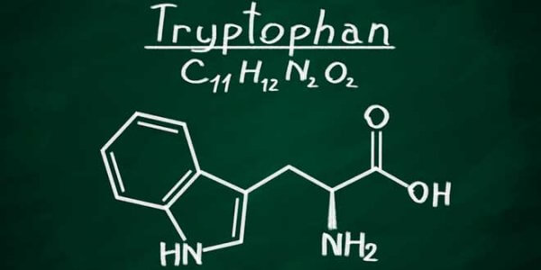 Kemisk formel för tryptofan