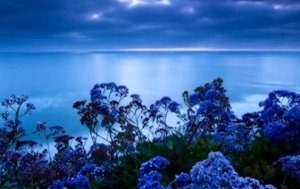 Den stresslindrande färgen: blå