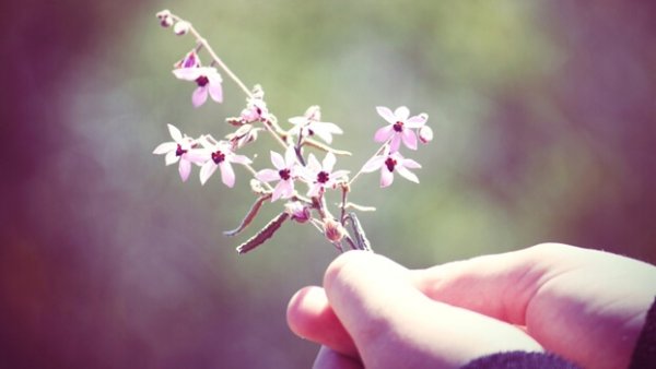 Person som håller en kvist med blommor.