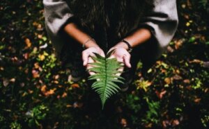 Att finna mening i livet kräver frid och tålamod