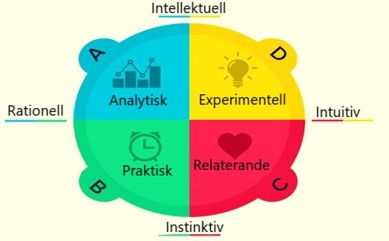 Hjärndominans enligt Herrmanns kvadrantmodell: vilken är din typ?