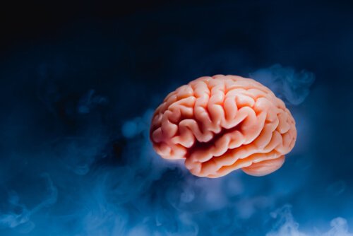 Hjärntsunami: vad sker i hjärnan innan man dör?