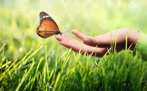 Kinestetisk kommunikation: varför är den så viktig?