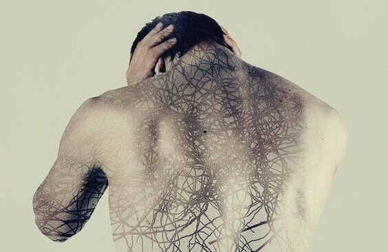 Nervsystemet hos man