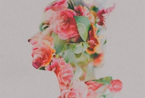 Profil av blommor