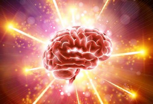 Den fantastiska hjärnan