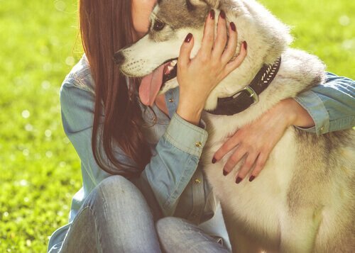 Sex stora fördelar med att ha husdjur