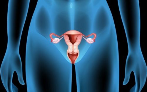 Ovarialcystor: symptom, orsaker och behandling