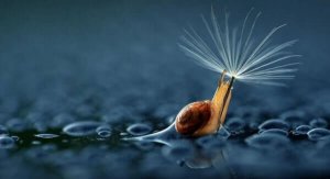 Vad fem minuter av tystnad kan göra för din hjärna