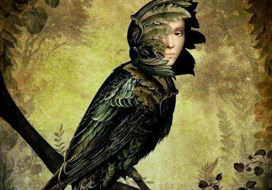 Fågel med mänskligt ansikte.