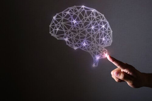 Vår fantastiska hjärna och dess egenskaper.