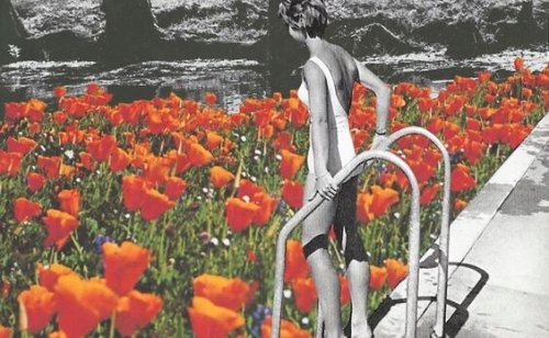 Kvinna stiger ned i pool av blommor