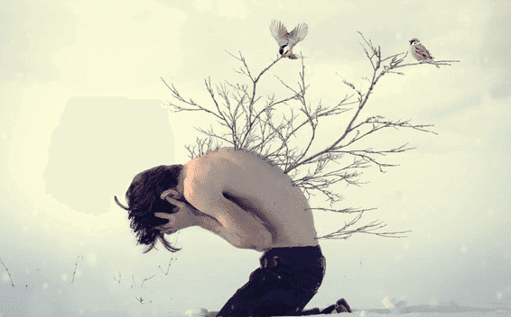 Pojke med grenar på ryggen