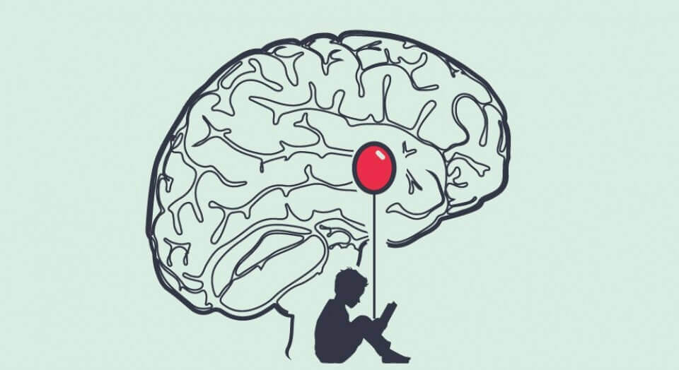 Amygdala i hjärnan