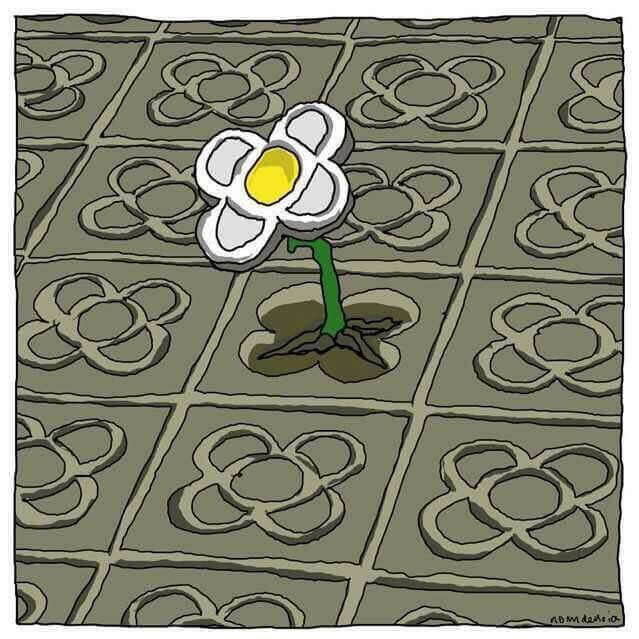 Blomma som växer i hål i metallplatta