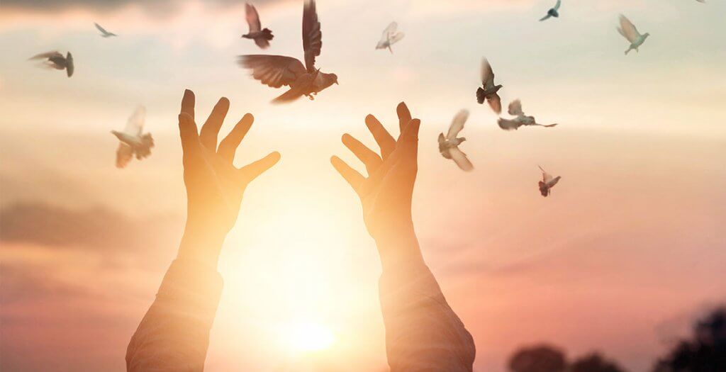 Att känna oss levande