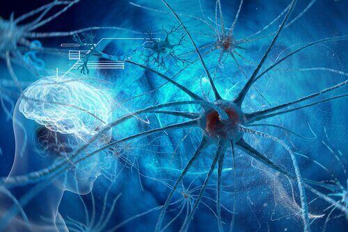 Nervceller i hjärnan under en separation