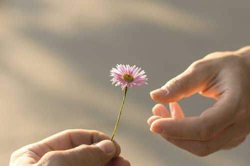 Räcker över en blomma.