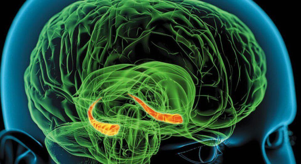 Schematisk bild av grön hjärna.