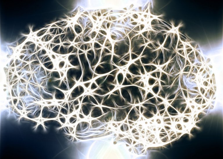 Varför är den vita substansen i vårt nervsystem så viktig?