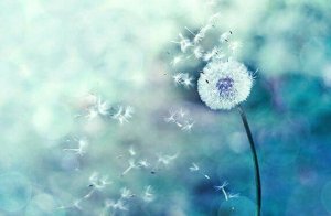 När sammanträffanden inträffar är du på rätt väg