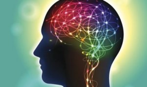 Anandamid: signalsubstansen som influerar lycka