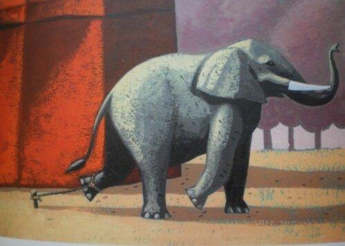Den tragiska berättelsen om den kedjade elefanten