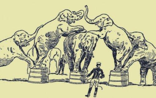 Elefanter uppträder på en cirkus