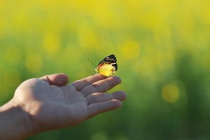 Hur man lär sig att avsluta cykler på rätt sätt
