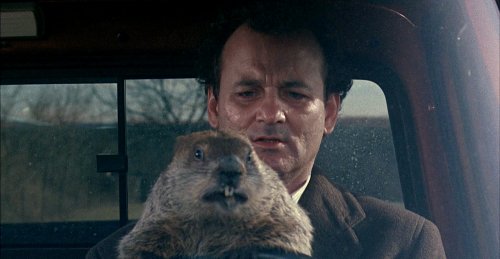 Bill Murray med murmeldjur