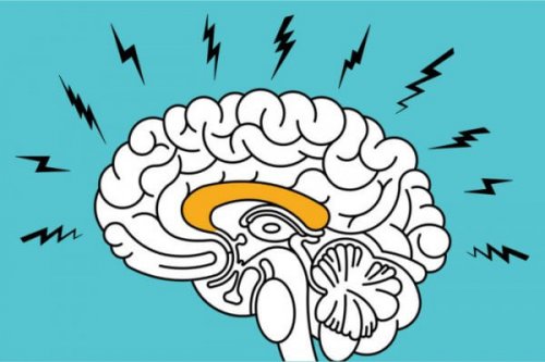 Ångestens effekter på hjärnan: Hippocampus är kopplad till emotionella minnen