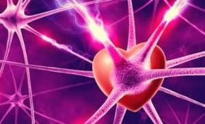 En biologisk förklaring till kärlek