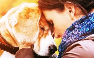 Hur man kan älska ett djur så mycket