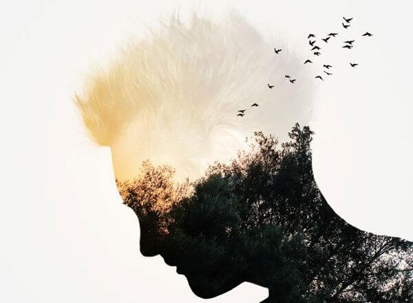 Man med skog i huvudet.